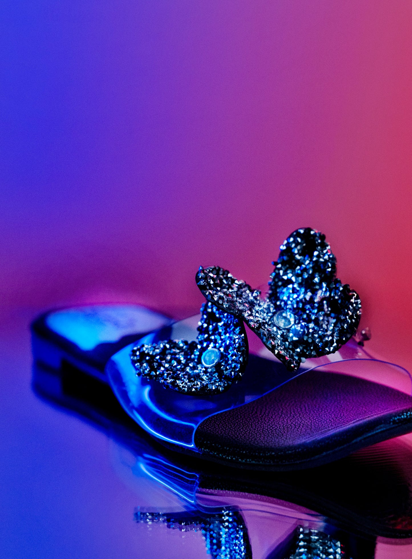 Vaneesa butterfly