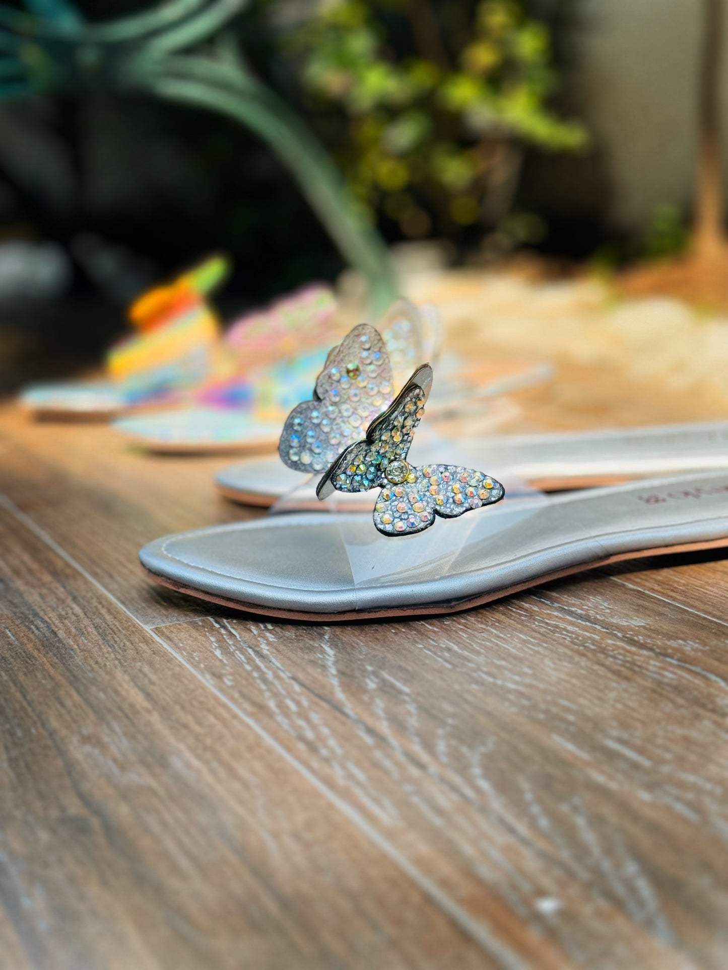 Vaneesa butterfly