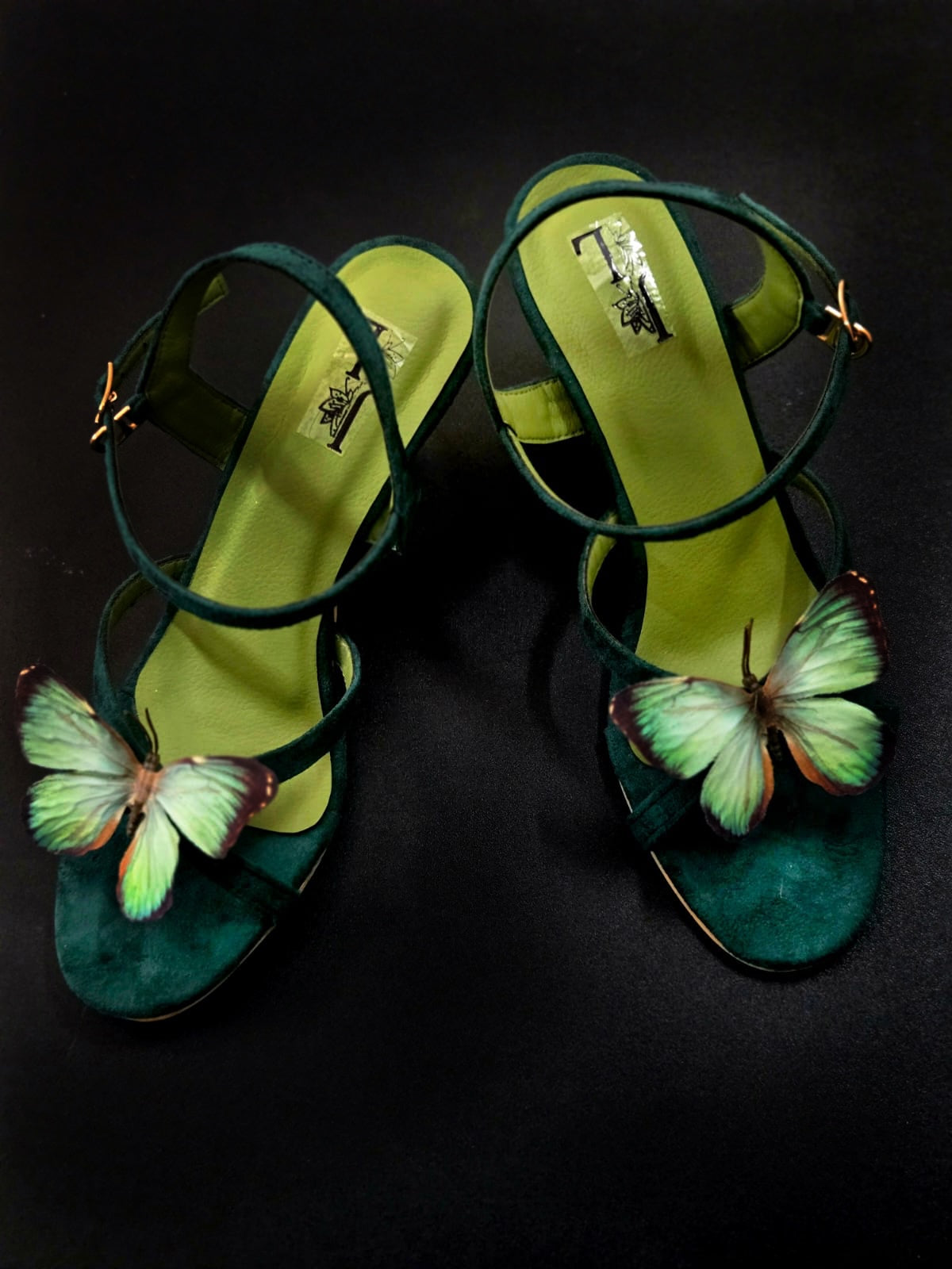 Glint butterfly