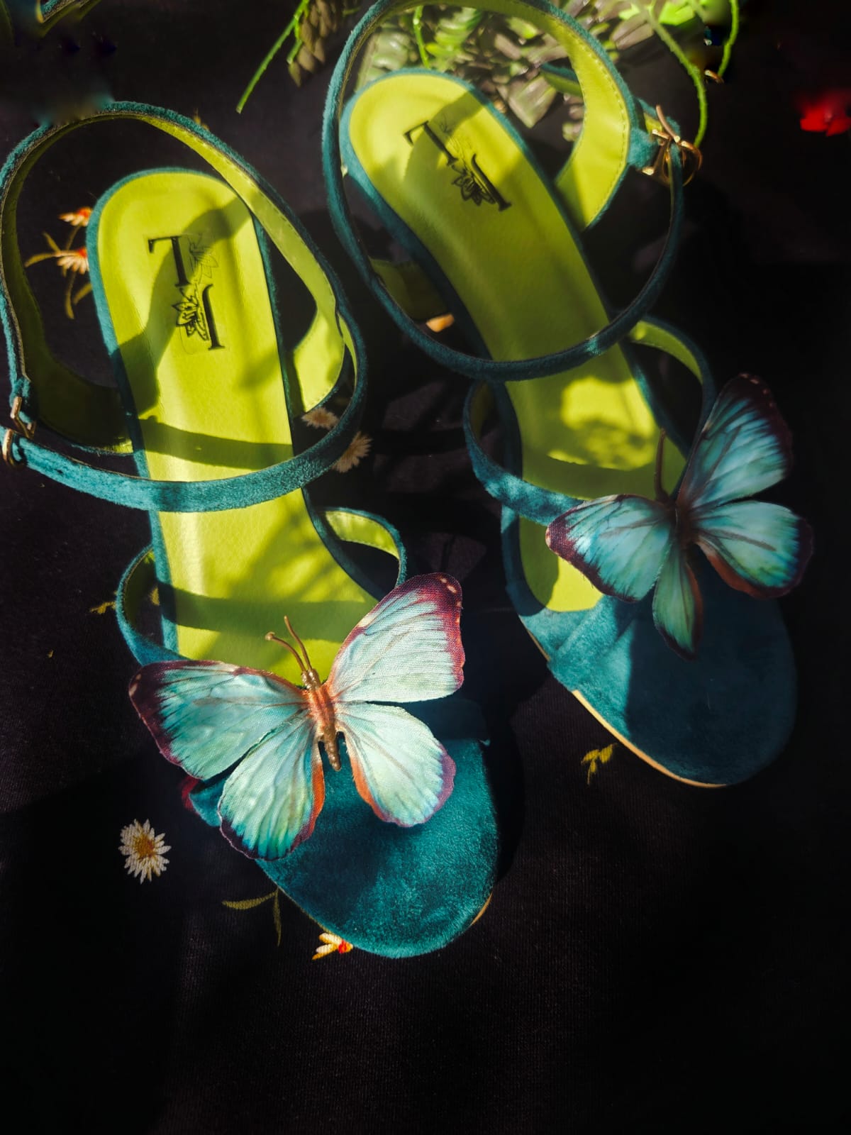 Glint butterfly