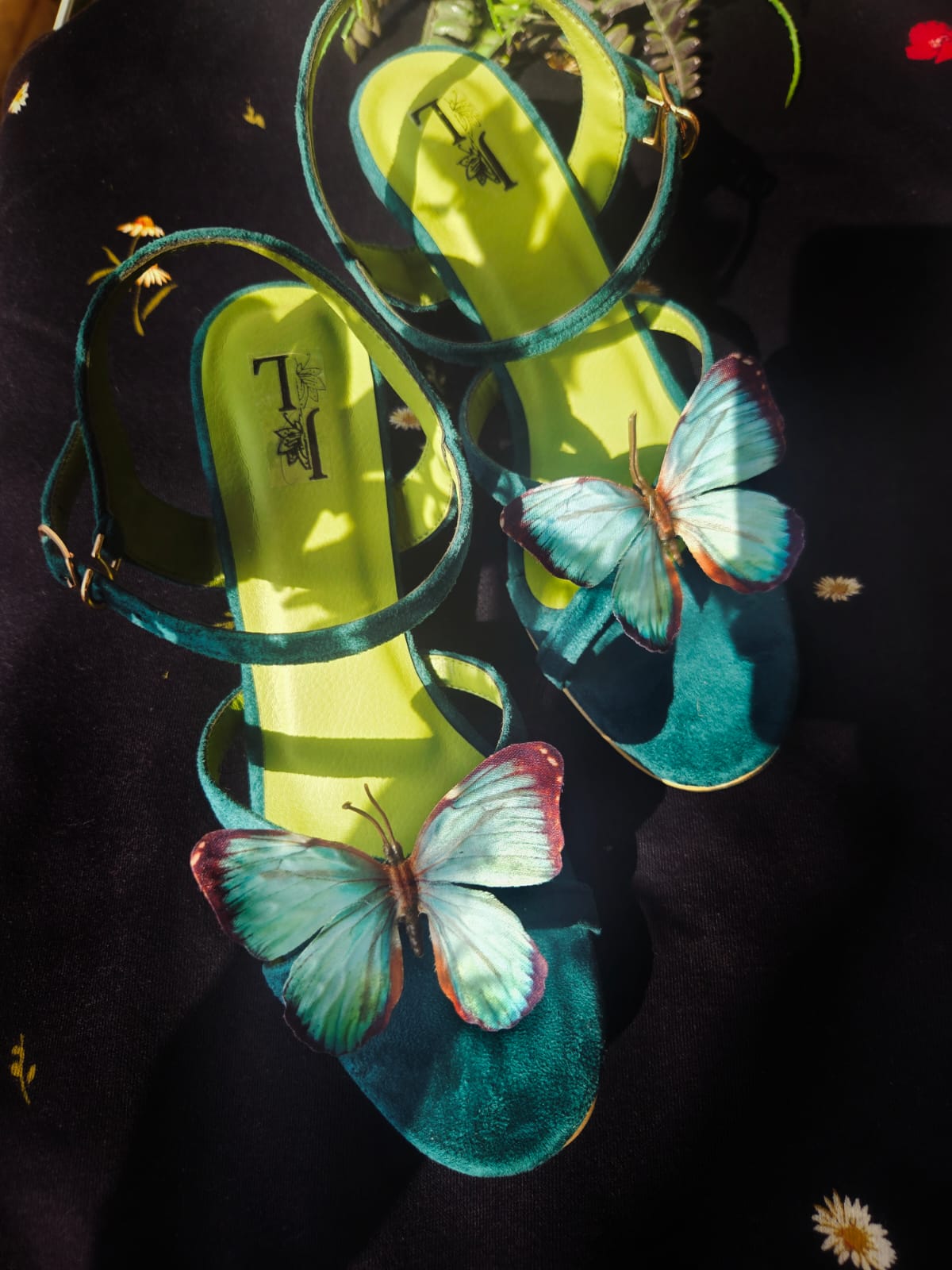 Glint butterfly