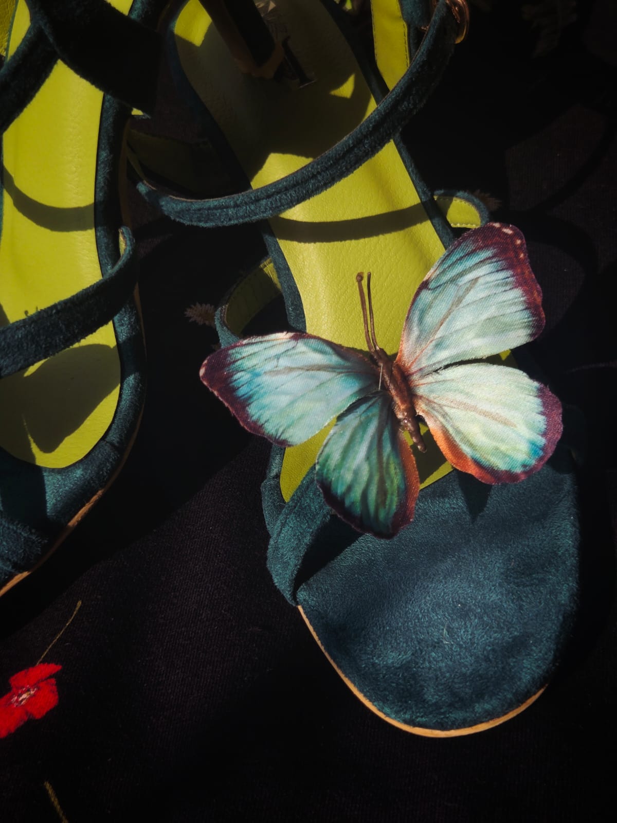 Glint butterfly