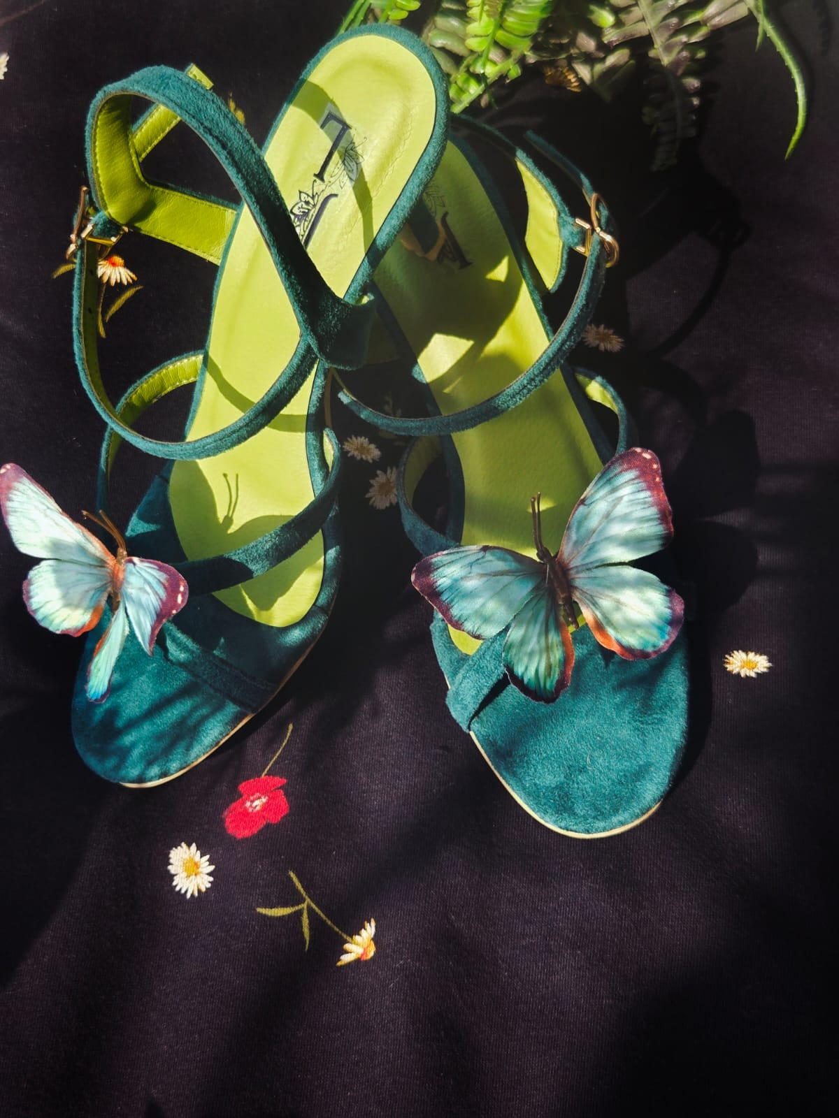 Glint butterfly